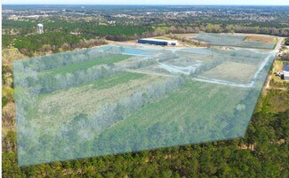 Castle Hayne, NC Industrial Land - 4121 Blue Clay Rd