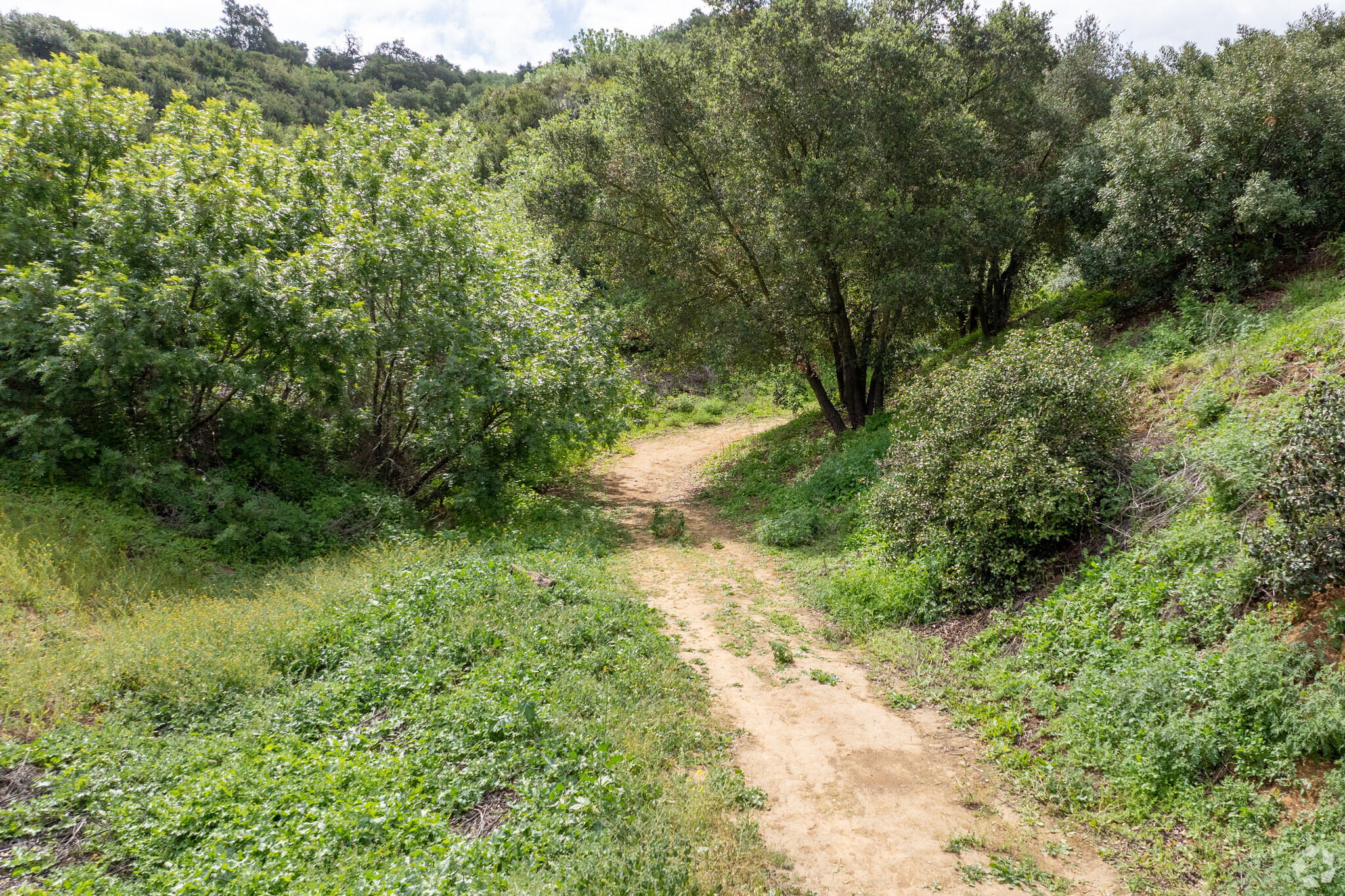 540 Carbon Canyon Rd, Chino Hills, CA for Sale