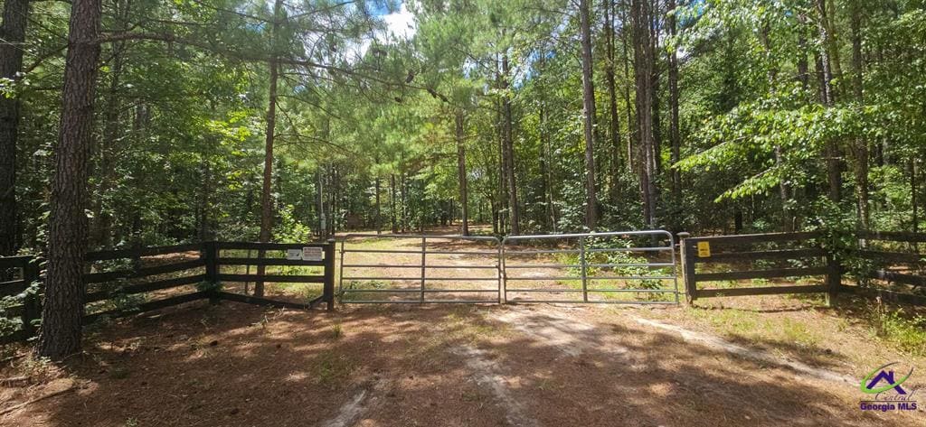 21.20 Acres Priest Road, Vienna, GA for Sale