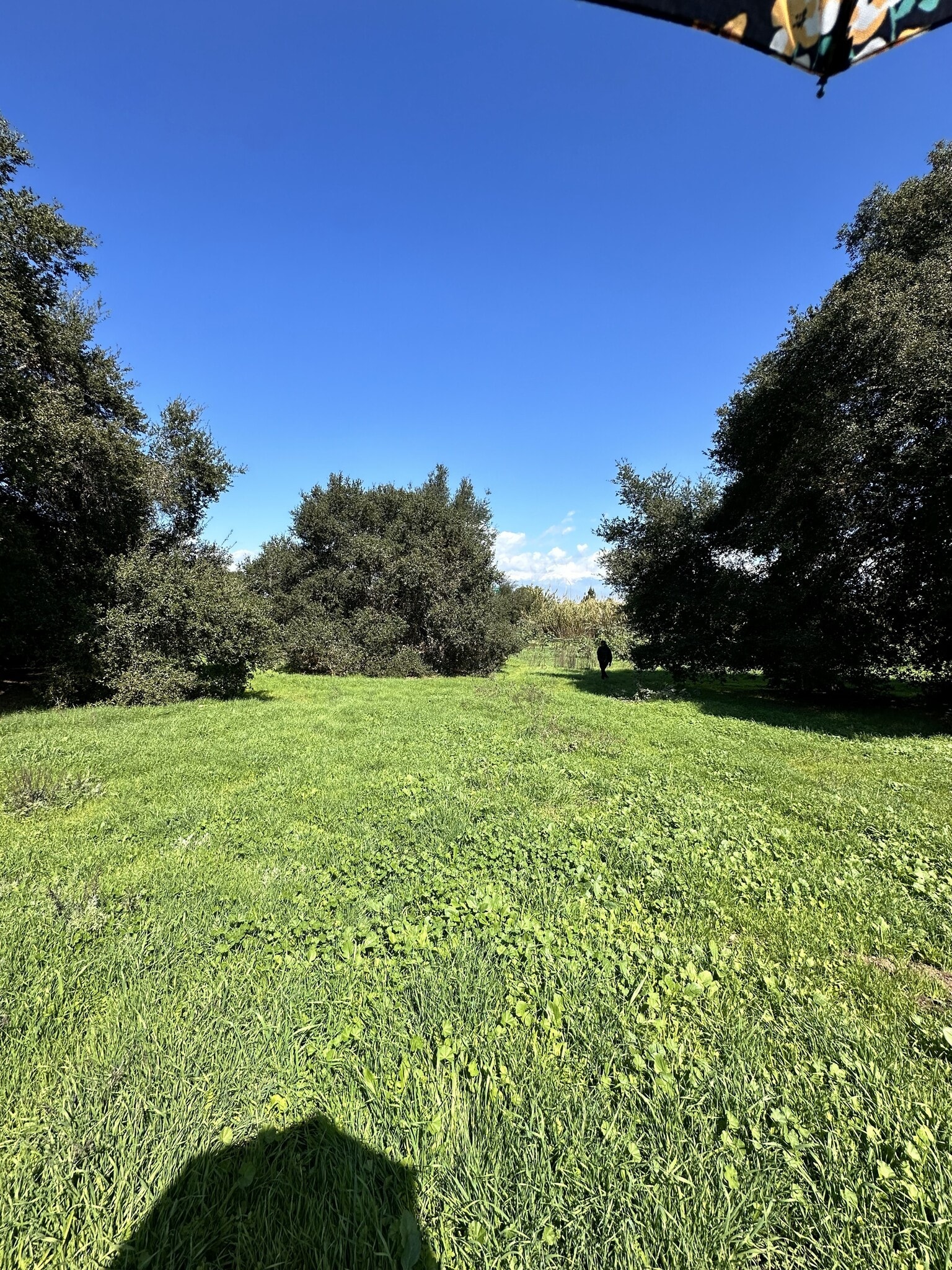 14425 Gale Ave, Hacienda Heights, CA for Sale