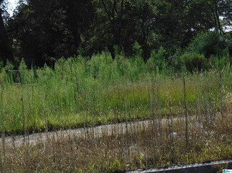 Birmingham, AL Commercial Land - 1120 N 30th St