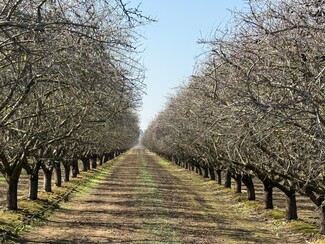 Del Rey, CA Agricultural - South Bethel Avenue