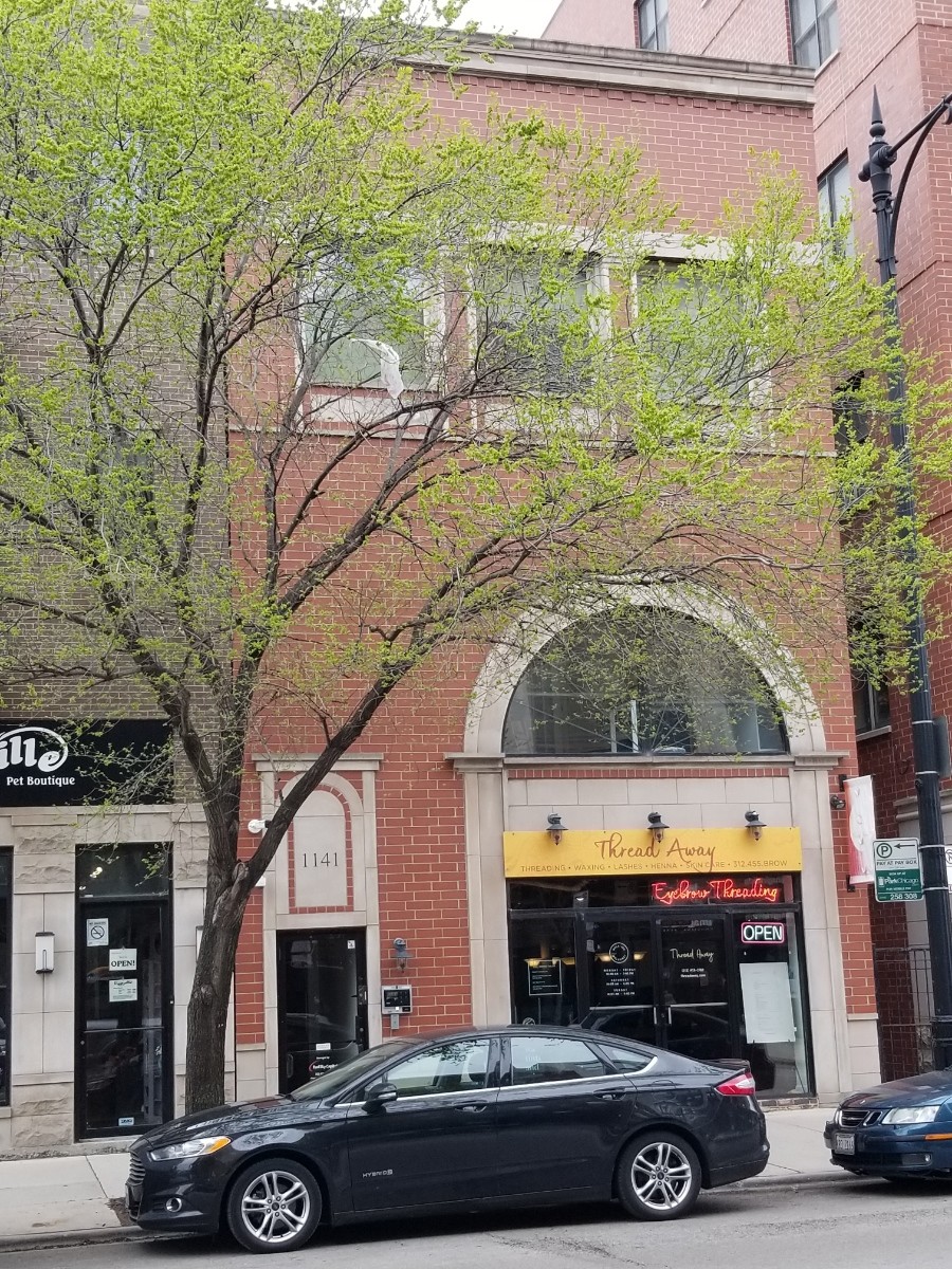 1141 W Madison St, Chicago, IL for Rent