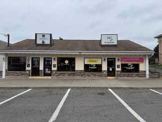 Liverpool, NY Retail - 309 Vine St