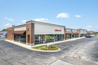 Naperville, IL Retail - 5019 Ace Ln