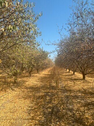 Tulare, CA Agricultural Land - 18897 Road 96