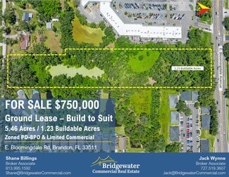 Brandon, FL Commercial - E Bloomingdale Ave