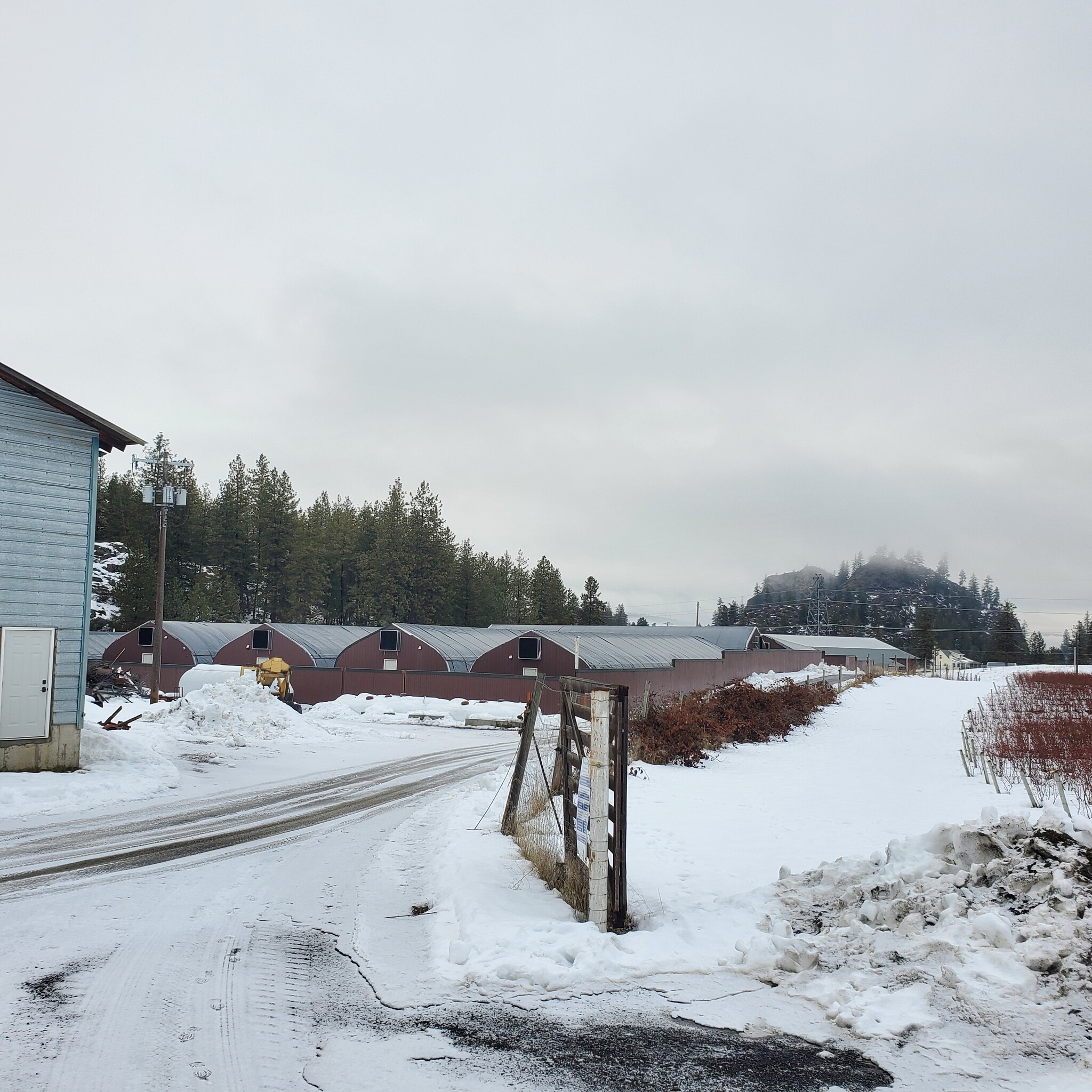 Devils Gap Rd Angels landing My Drive North rd, Ford, WA for Sale