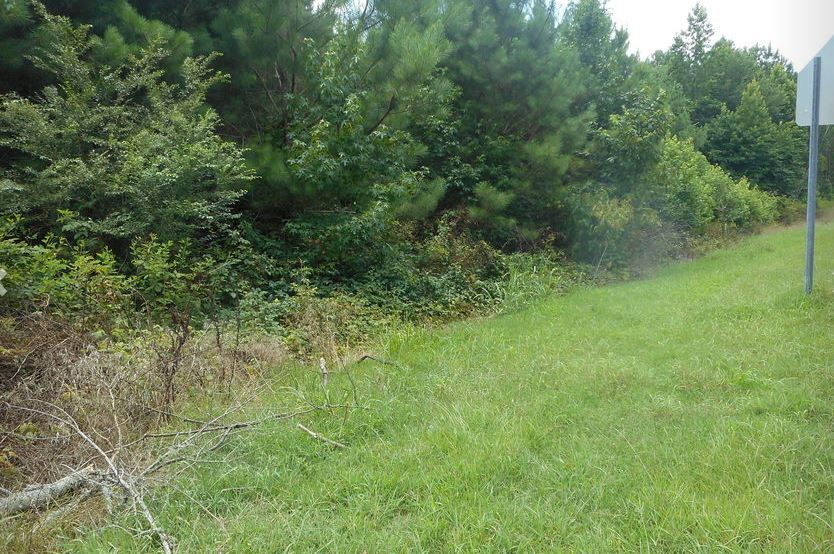 8034 US 11, Springville, AL for Sale