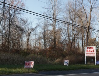Slingerlands, NY Residential Land - 47 Blessing Rd