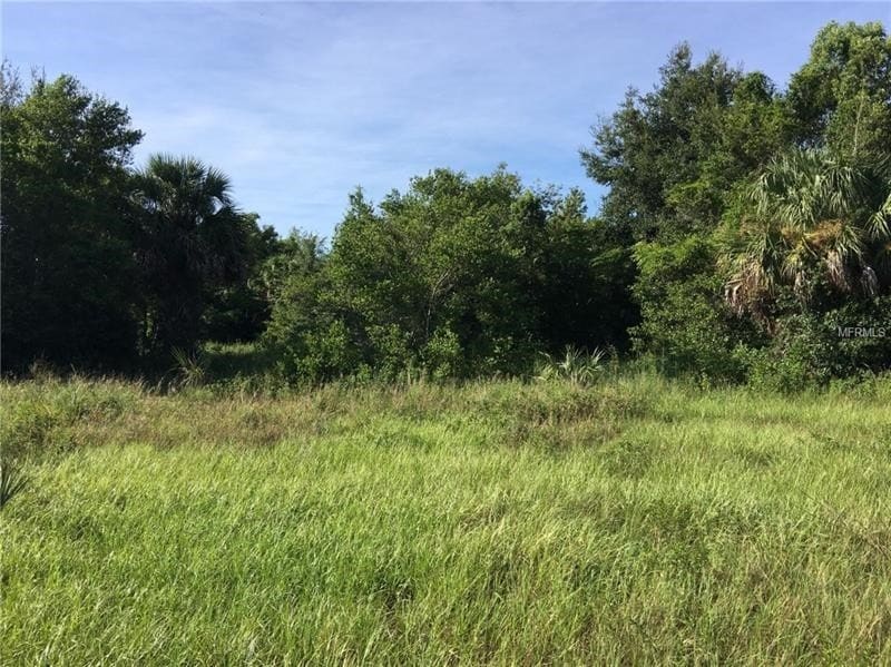 Lakeshore Breeze Ct, Eustis, FL for Sale