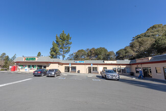 Sebastopol, CA Retail - 173-175 Pleasant Hill Ave N