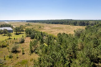 Hammond, LA Industrial - Vineyard