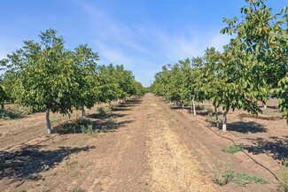 Stockton, CA Agricultural - 10163 Alpine rd