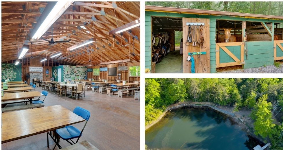 381A Moonlight Dr, Cloudland, GA for Sale