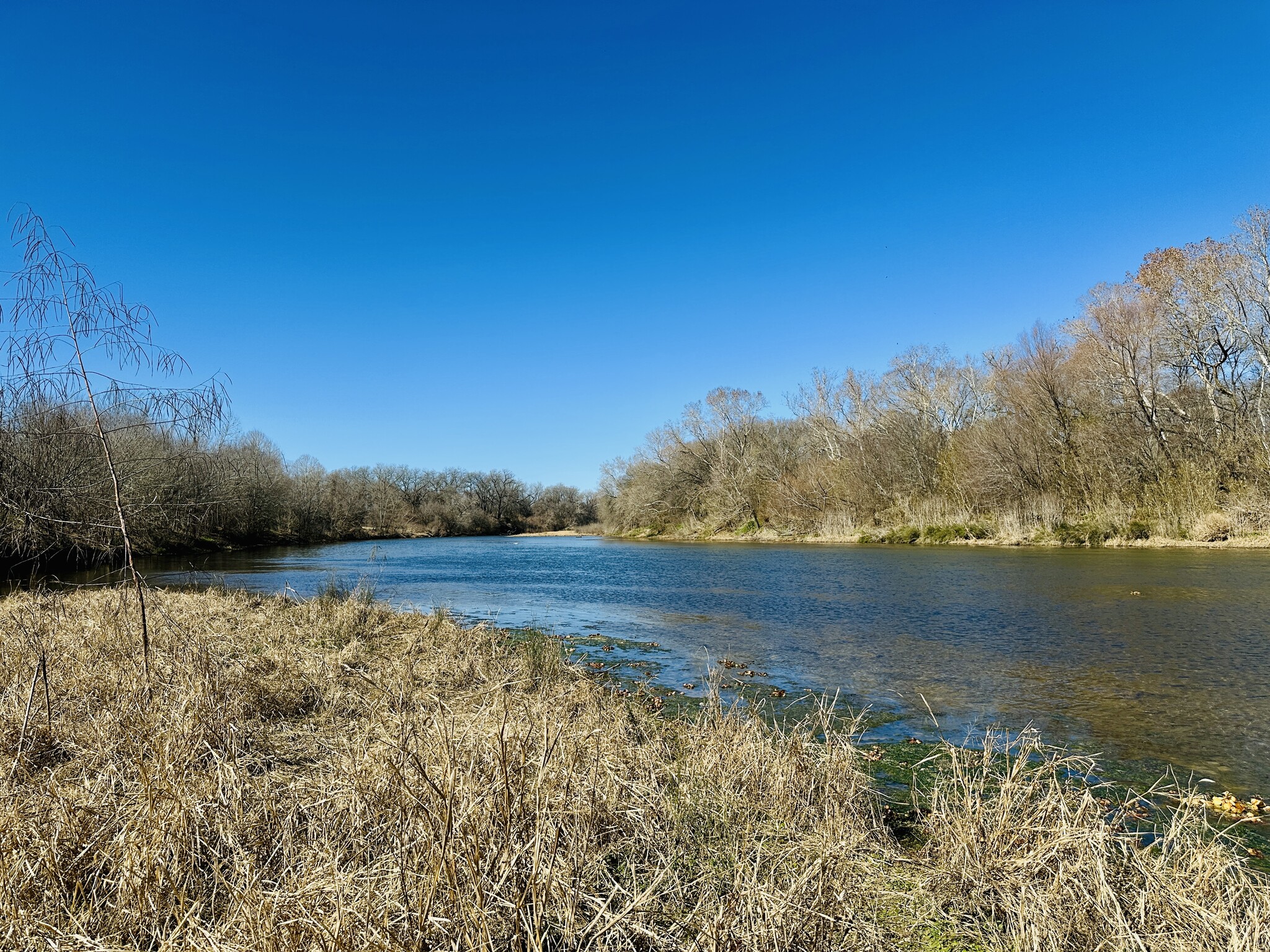 276 FM 2571, Smithville, TX for Sale