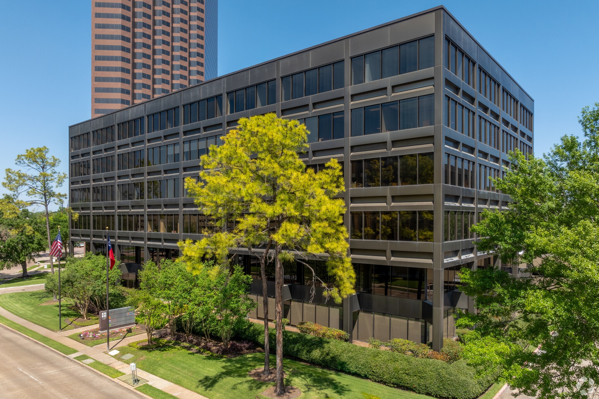 1717 St. James Place, Houston, TX for Sale