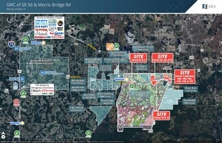 Thonotosassa, FL Commercial Land - 15810 Morris Bridge Rd