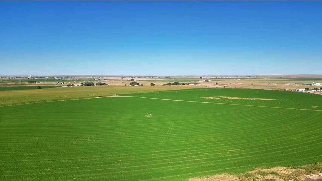 26925 County Road 44, Kersey, CO for Sale