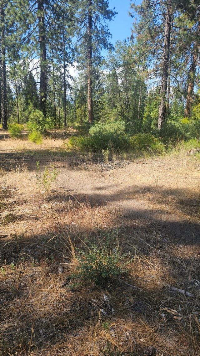 0 Truck Village Dr, Mount Shasta, CA for Sale