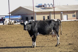 Hart, TX Agricultural - 2300 Co Rd 628 rd