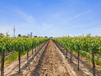 Acampo, CA Agricultural - 3463 Peltier Rd.