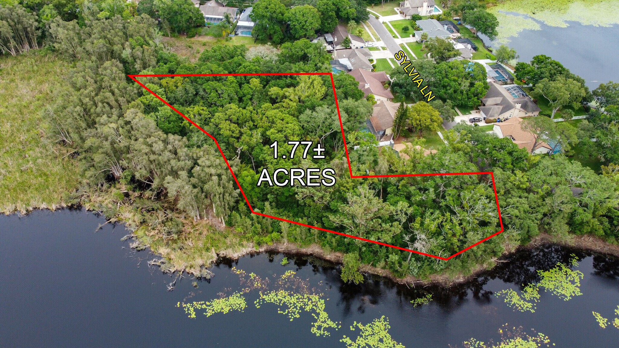 1024 Sylvia Ln, Tampa, FL for Sale
