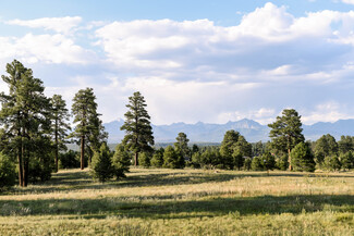 Pagosa Springs, CO Commercial - TBD Highway 160