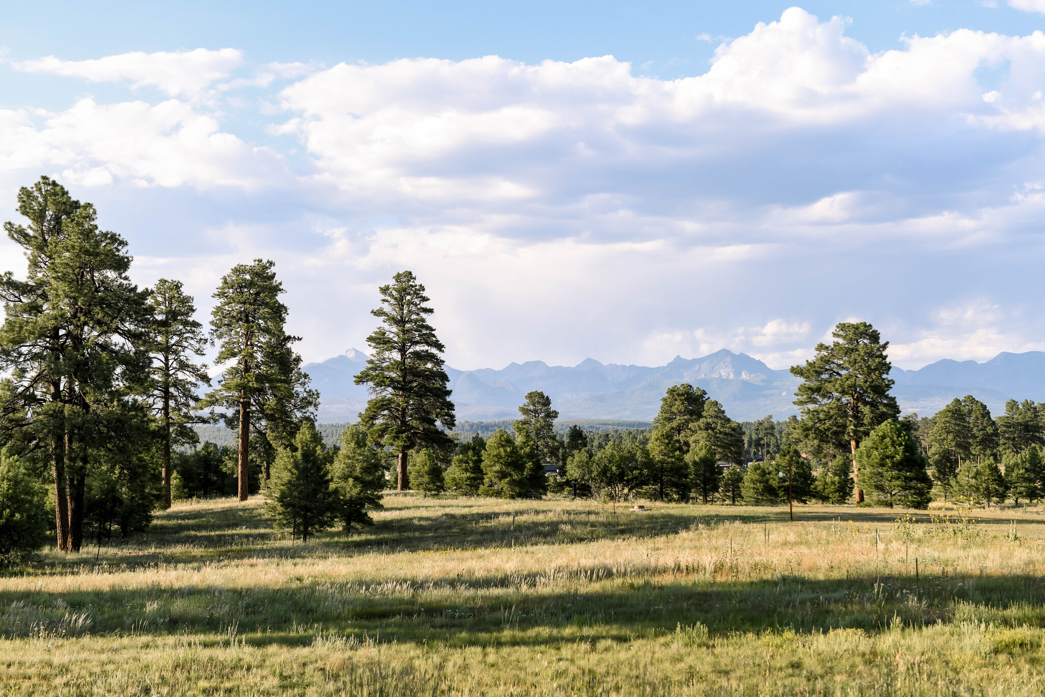 TBD Highway 160, Pagosa Springs, CO for Sale