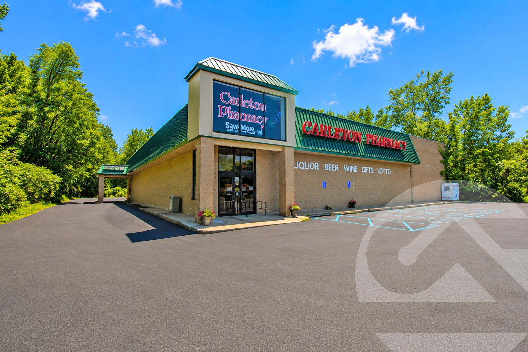 201 Medical Center Dr, Carleton, MI for Sale