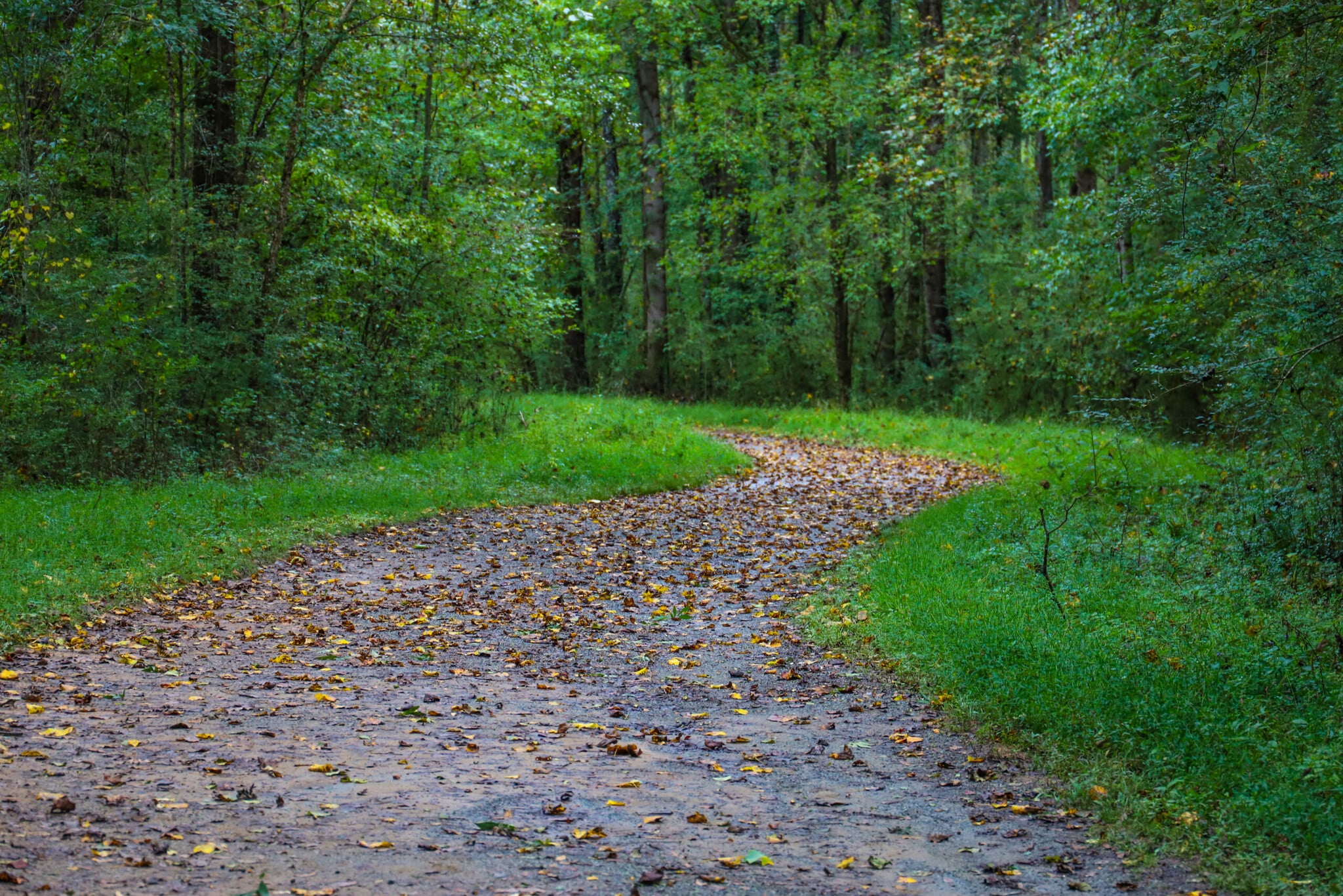 13703 Timberline Rd, Highland, IL for Sale