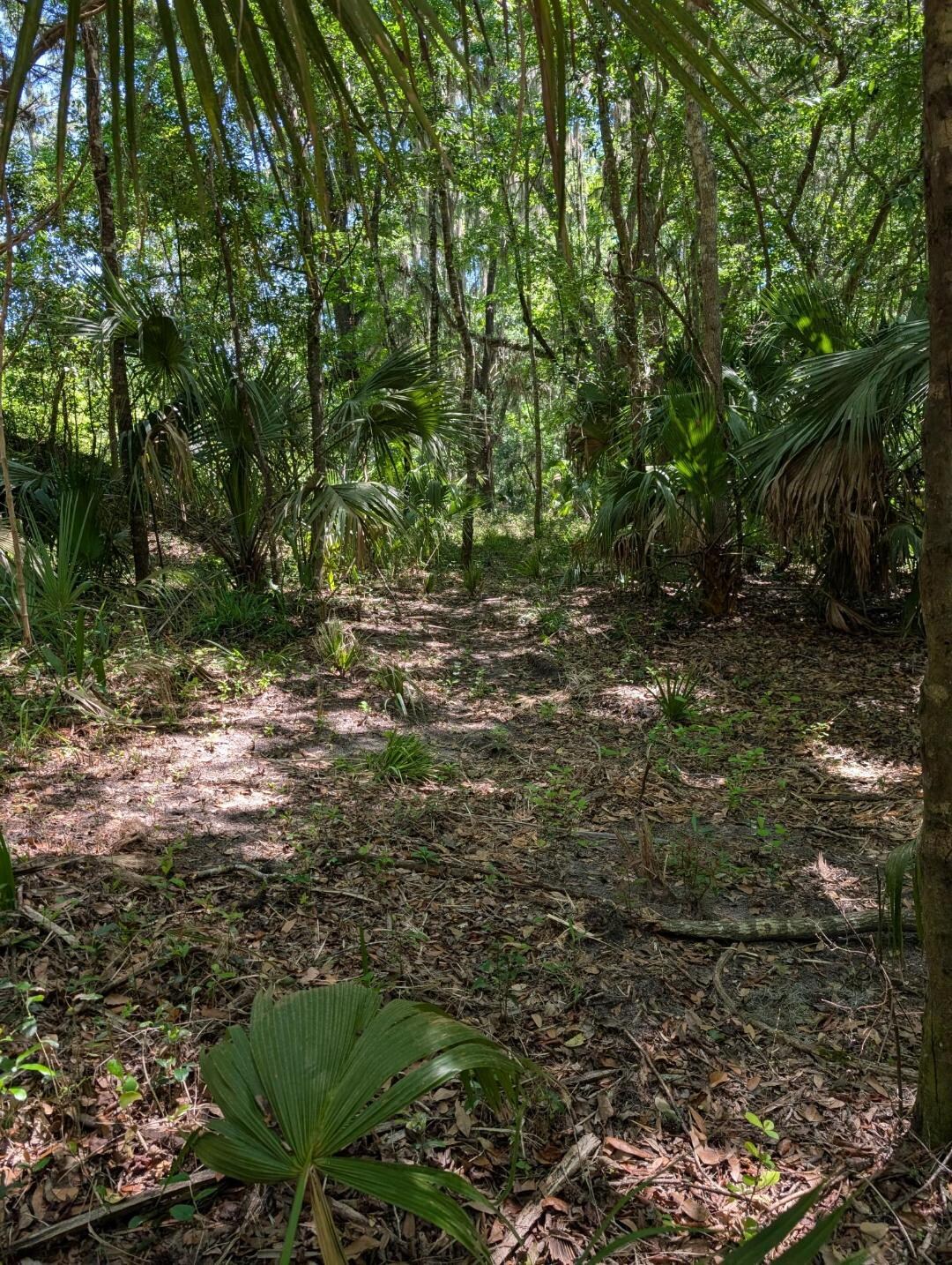 0 NW 202nd Pl, McIntosh, FL for Sale