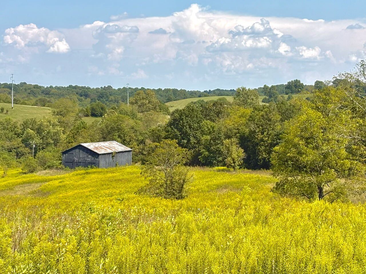 285 Josephine Rd, Sadieville, KY for Sale