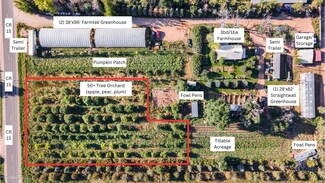 Wellington, CO undefined - 12155 N County Road 15