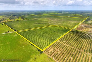 Zolfo Springs, FL Agricultural - 5015 Fish Branch Rd