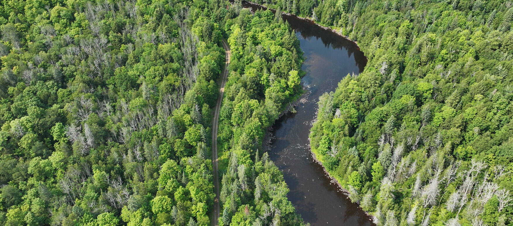 Presque Isle River Forest, Wakefield, MI for Sale