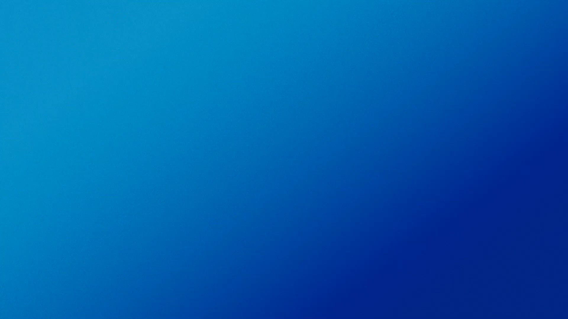 903 Pendleton St, Greenville, SC for Rent