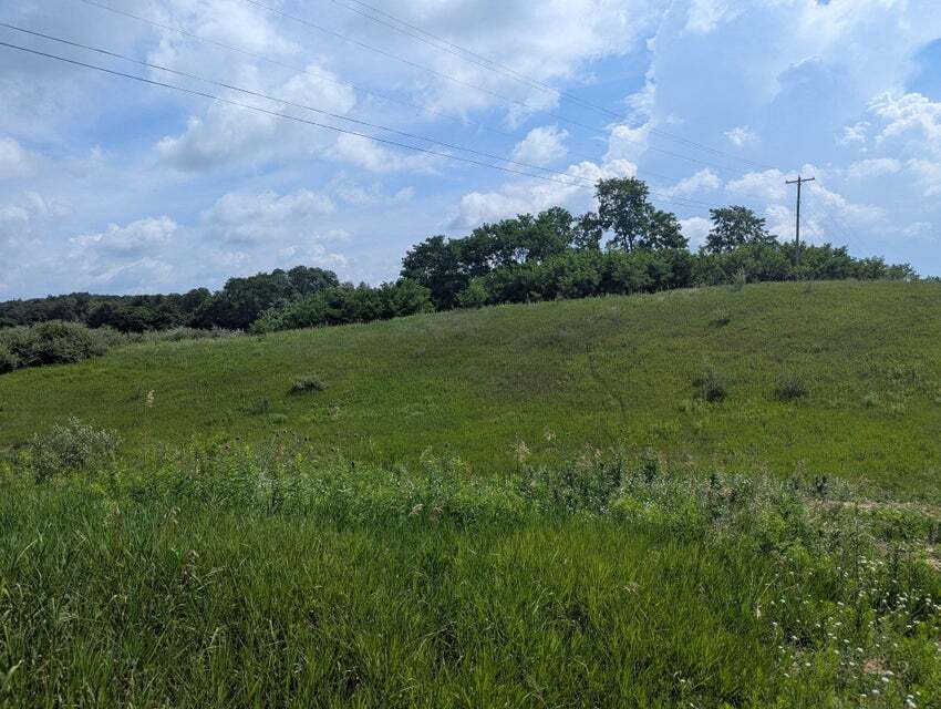 Lot 1 Vicary Road @ Meridian Rd. / US - 127, Cement City, MI for Sale