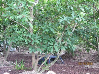 168th Southwest 200th Ave  