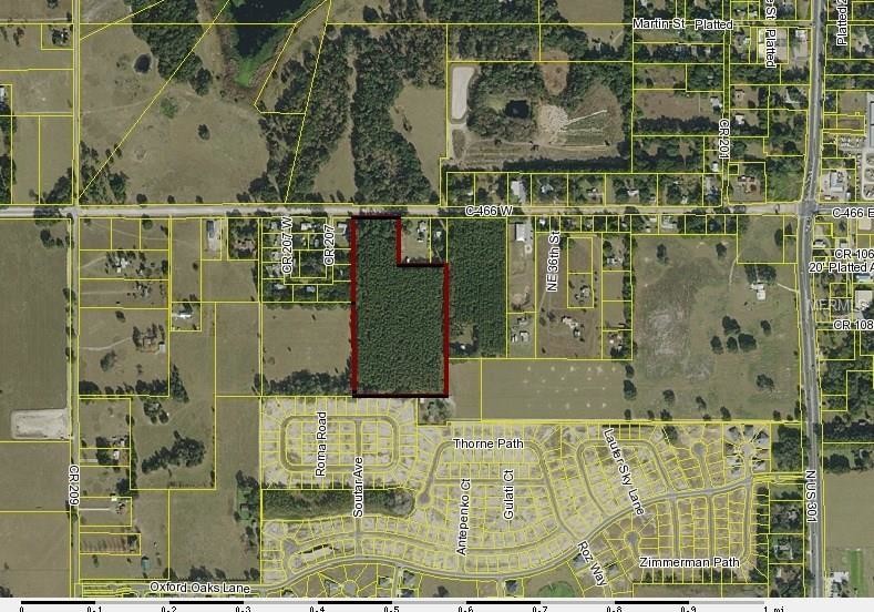 CR 466, Oxford, FL for Sale