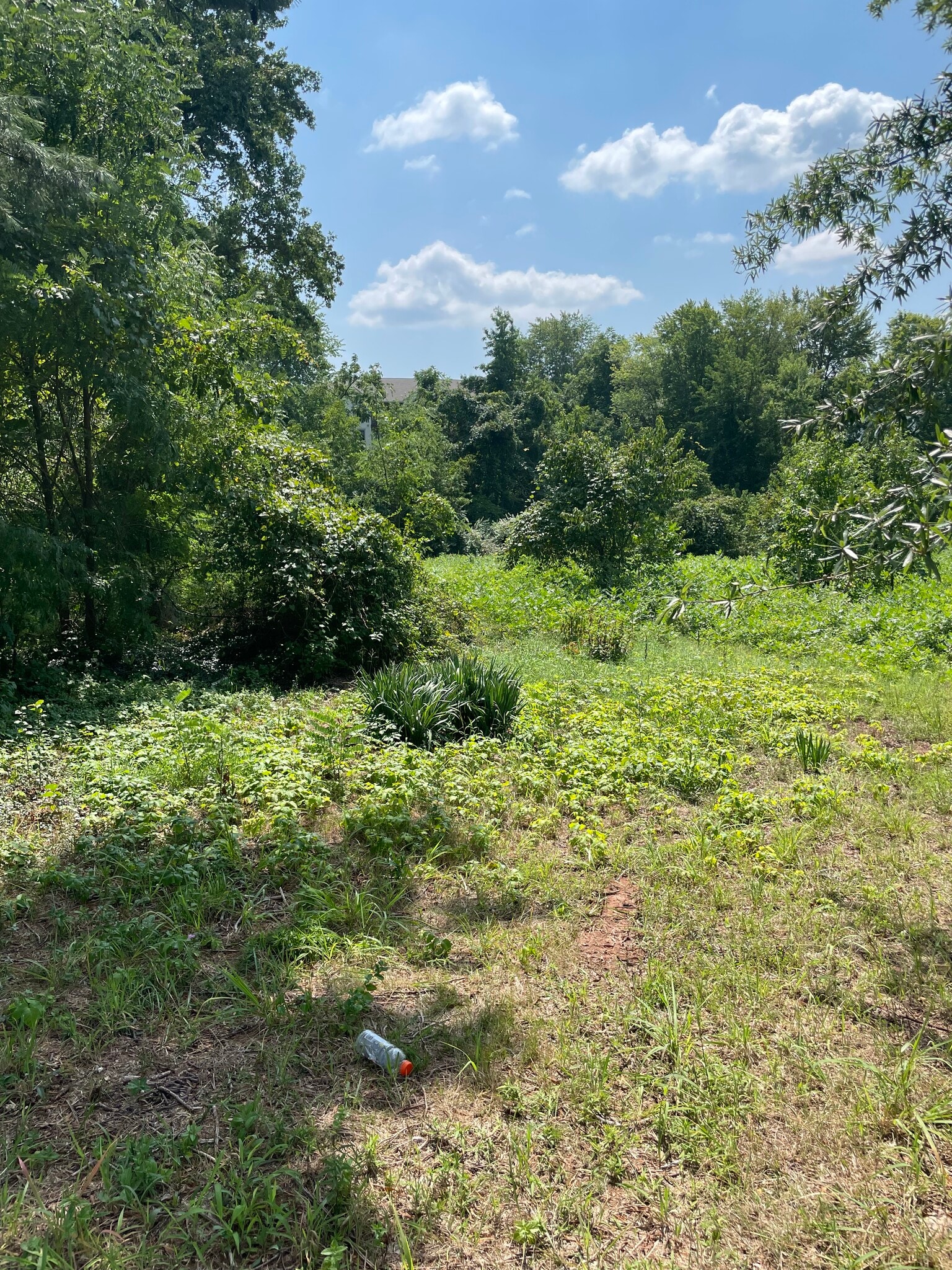 8451 Quarry Rd, Manassas, VA for Rent