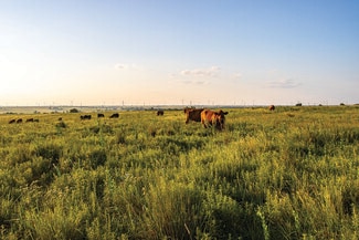 Mulhall, OK Commercial - TBD 77 hwy