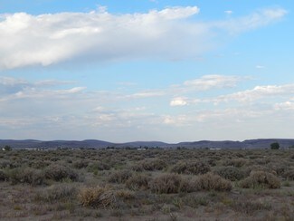 Silver Springs, NV Commercial Land - 4900 Highway 95A