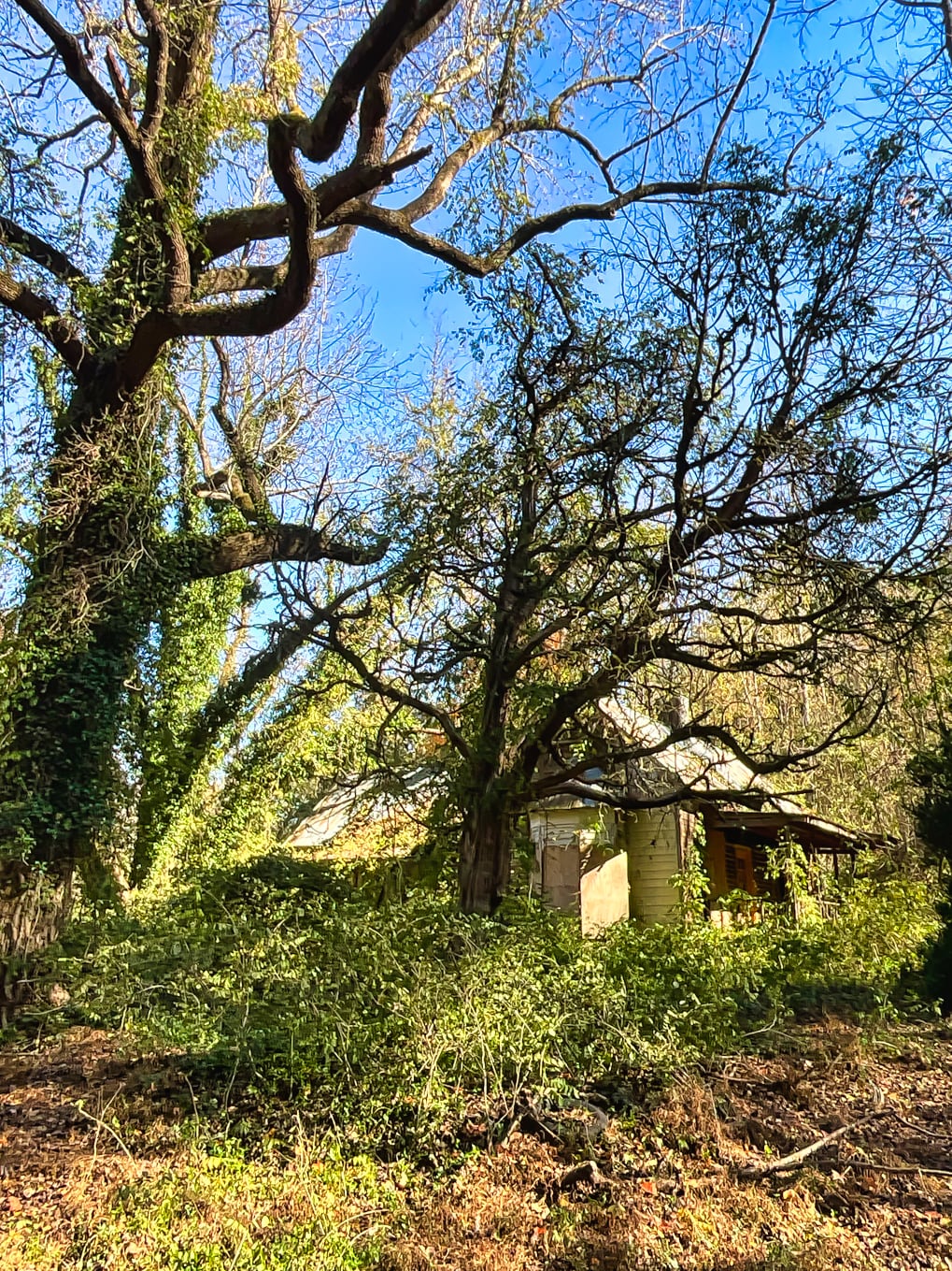 3201 Tommy Lee Cook Rd, Newnan, GA for Sale