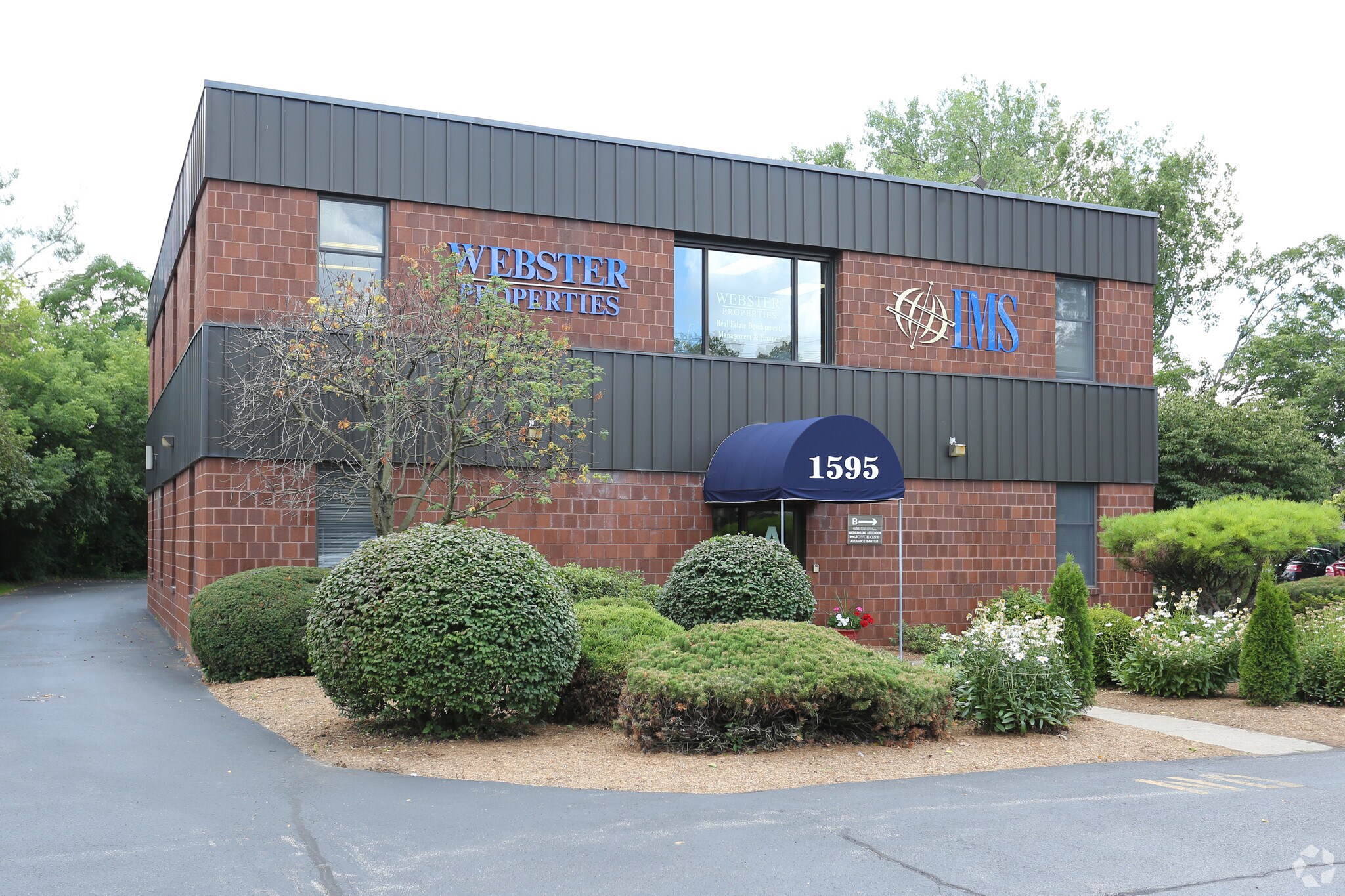 1595 Elmwood Ave, Rochester, NY for Rent