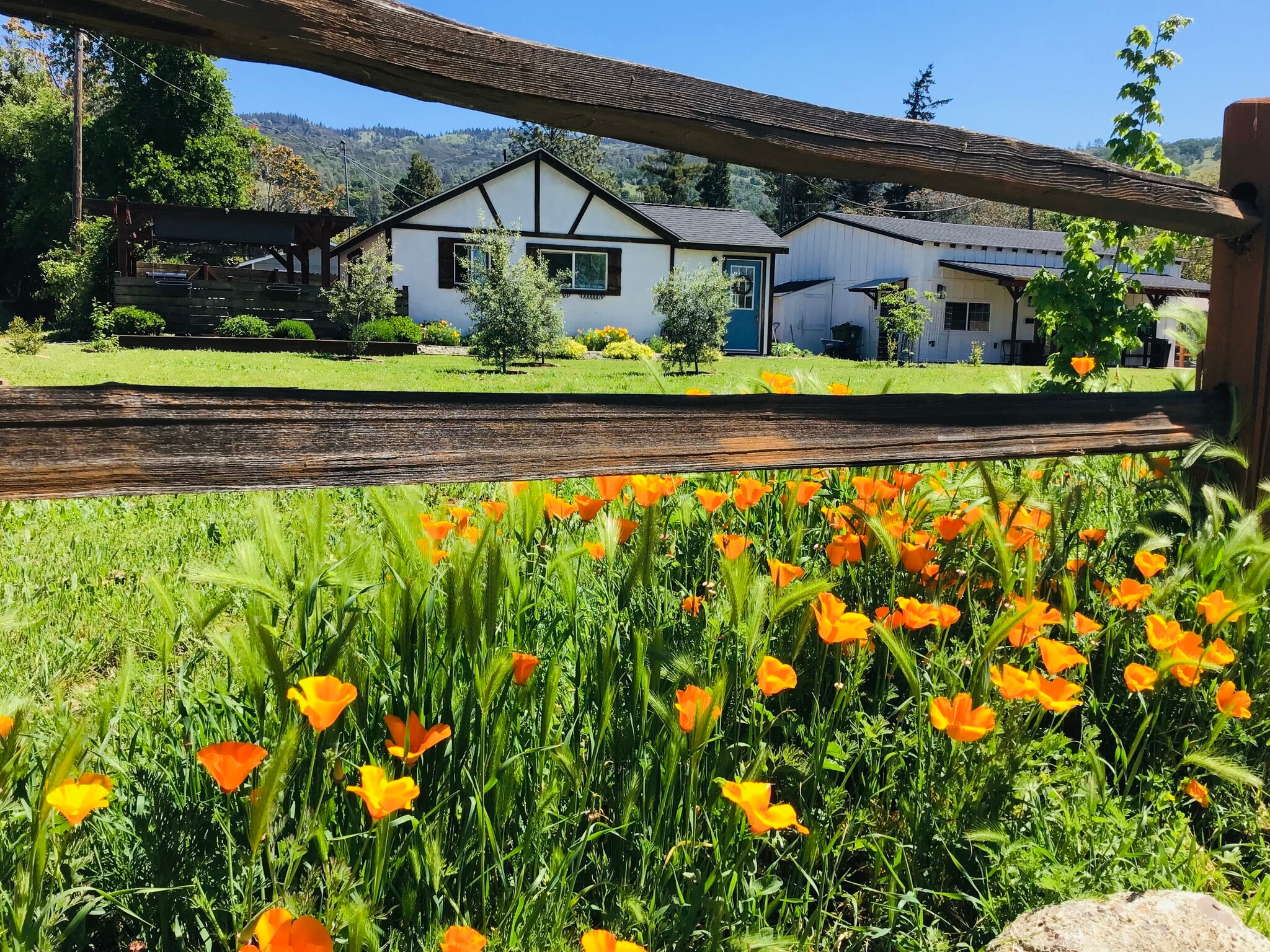 6264 E Highway 20, Lucerne, CA for Sale