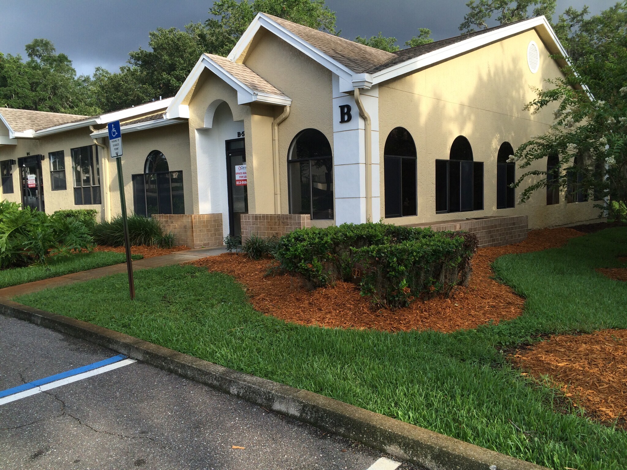 1700 McMullen Booth Rd, Clearwater, FL for Rent