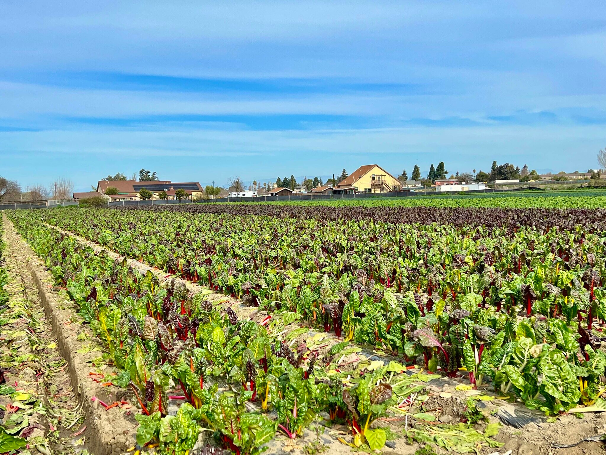 320 Riverside Rd, Hollister, CA for Sale