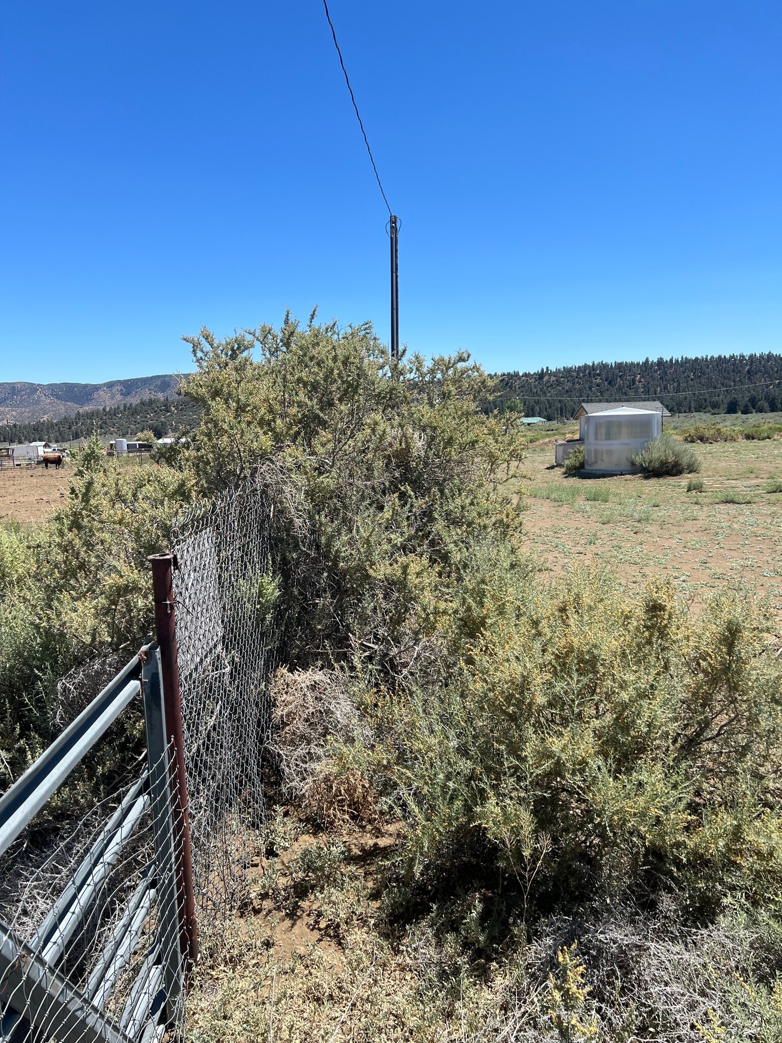 Mount Lilac Trail @ Chuchupate Trail, Frazier Park, CA for Sale