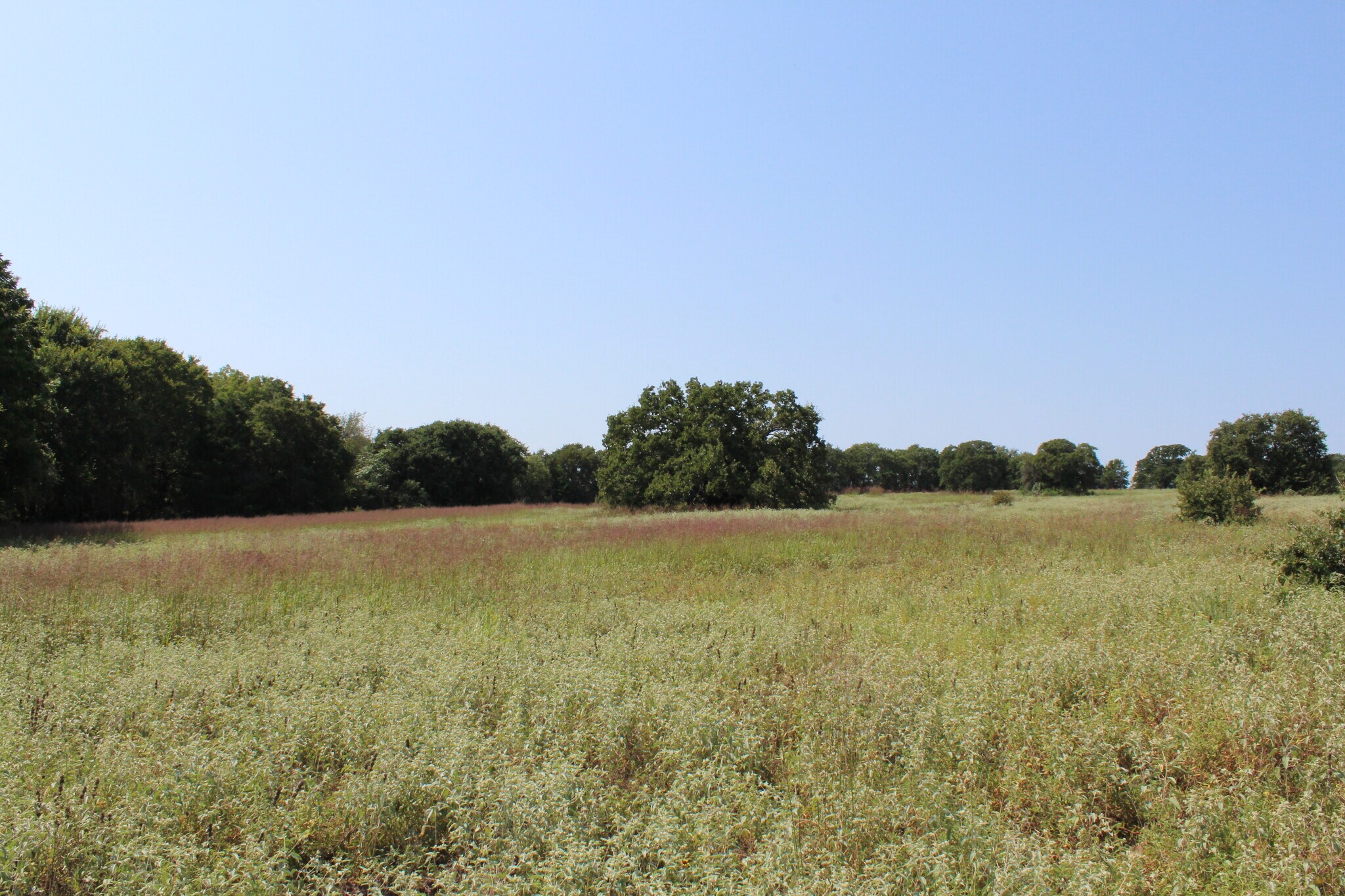 Blackjack Parkway, Montague, TX for Sale
